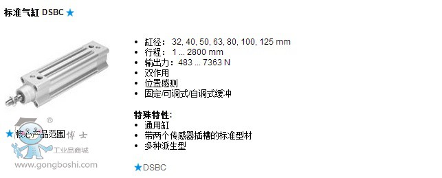 FESTO(bio)(zhn)DSBC(sh)-1